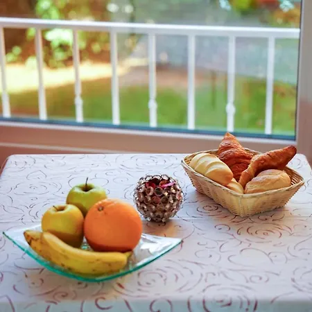 Guest house Villa Rovinj Apartments